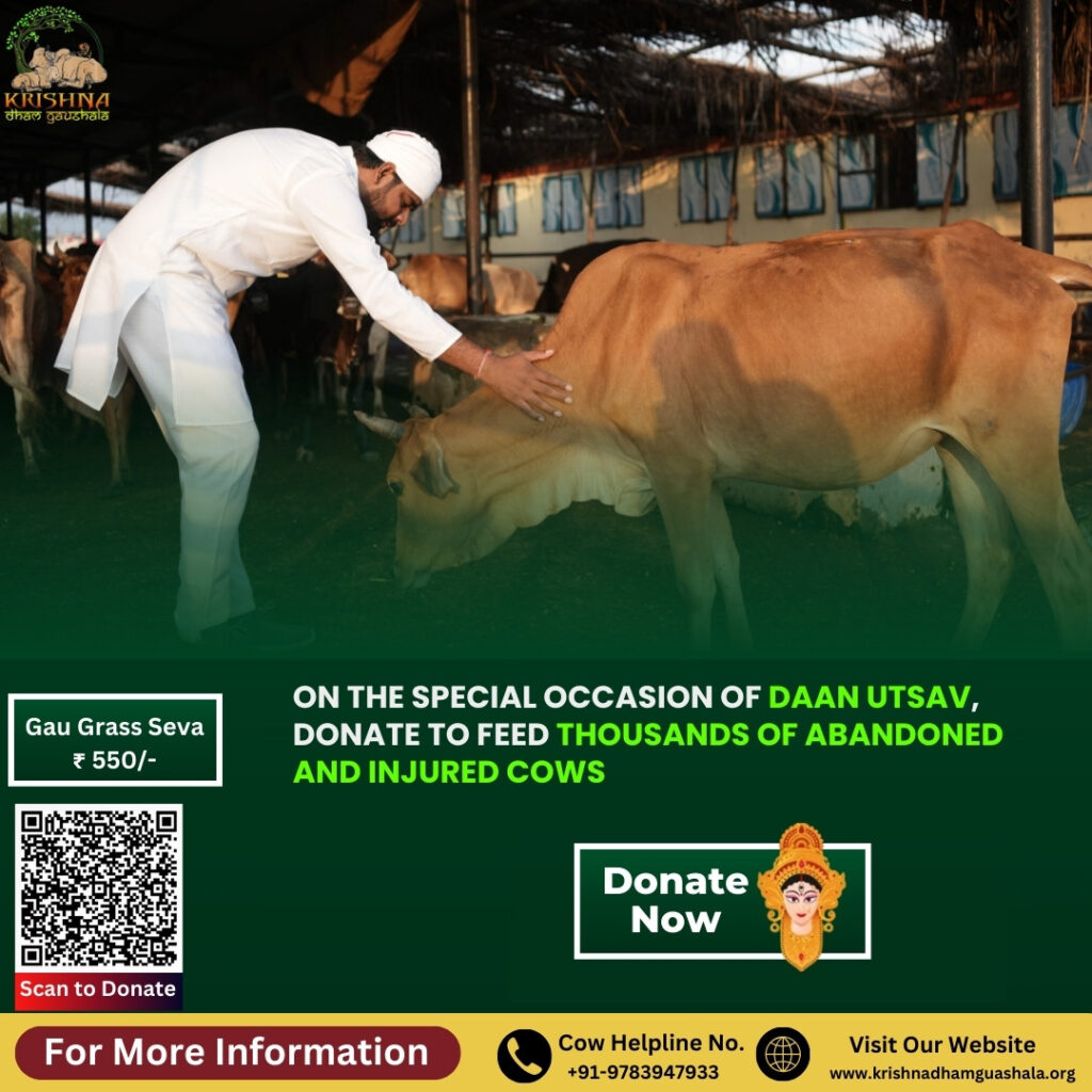 Donate To Feed Cows on Daan Utsav