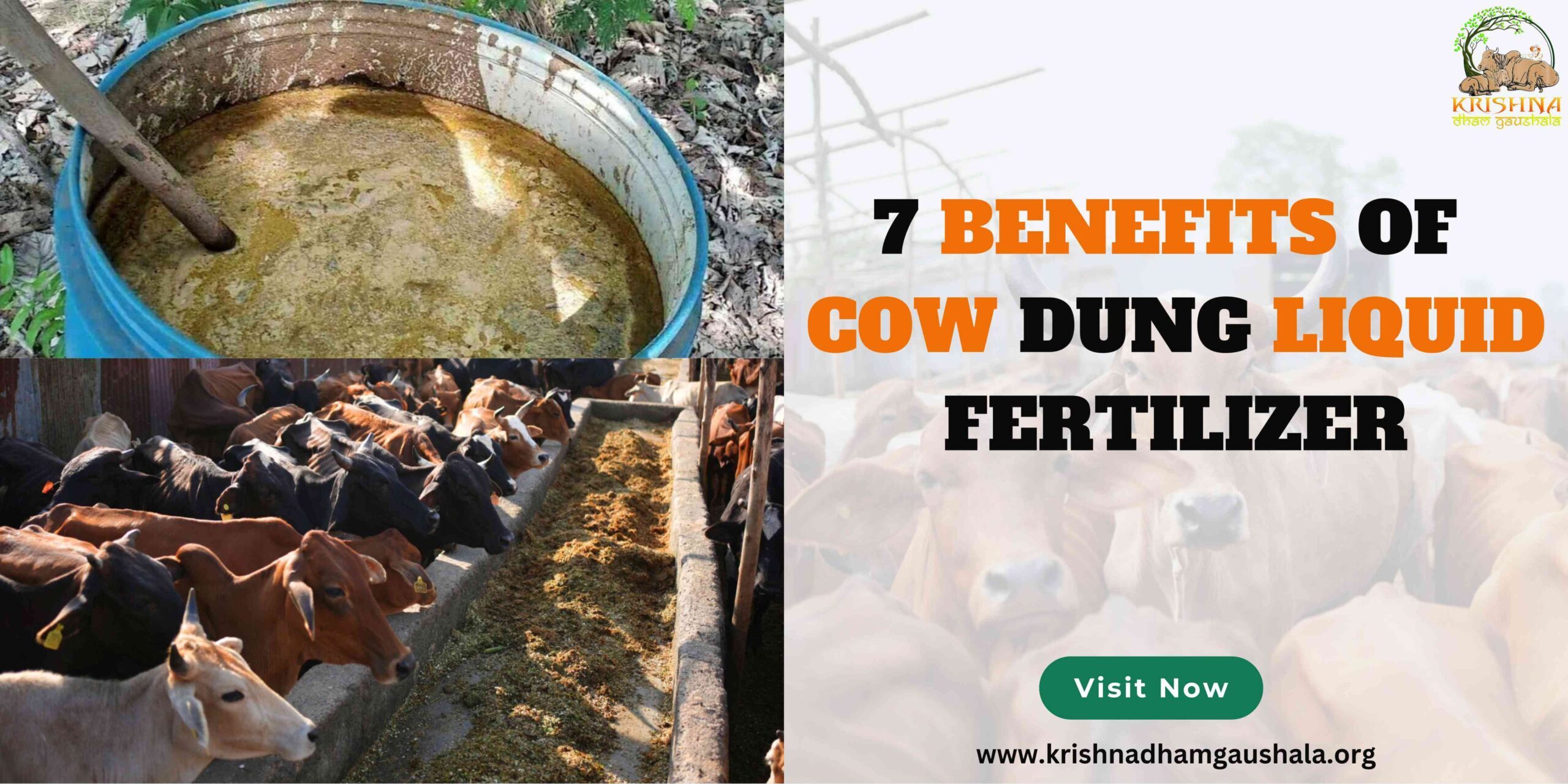 Benefits of Cow Dung Liquid Fertilizer-c