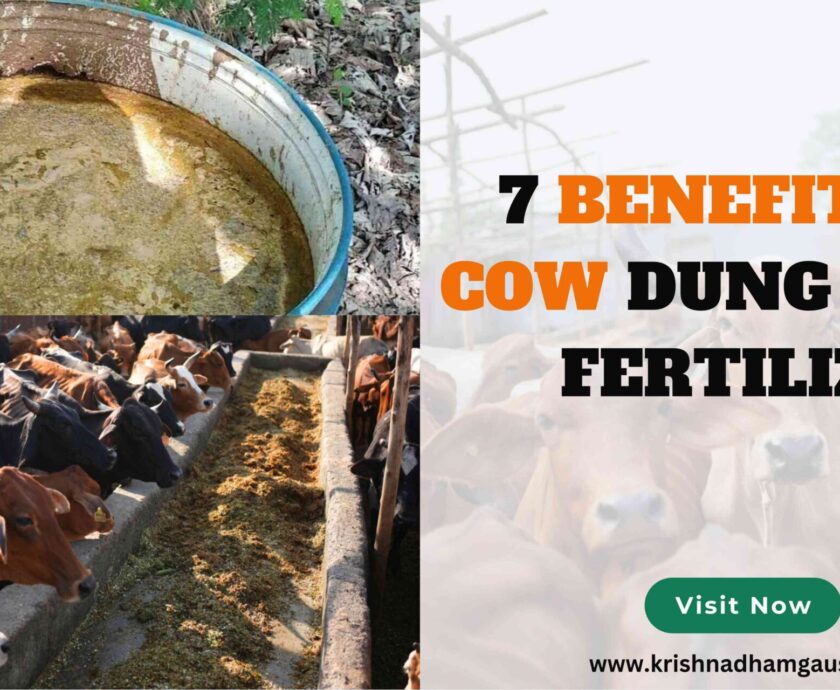 Benefits of Cow Dung Liquid Fertilizer-c