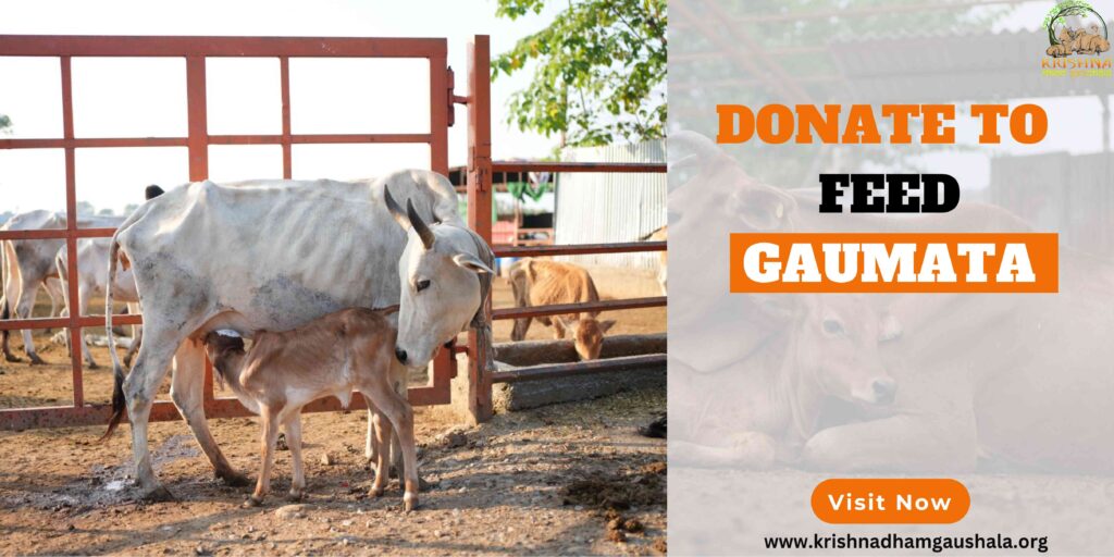 Donate To Feed Gaumata