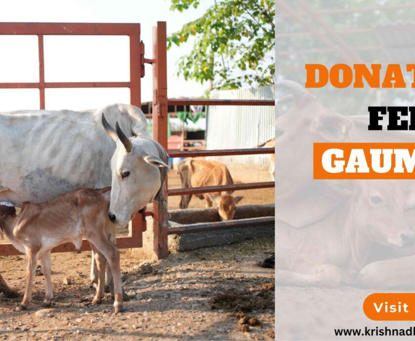 Donate To Feed Gaumata