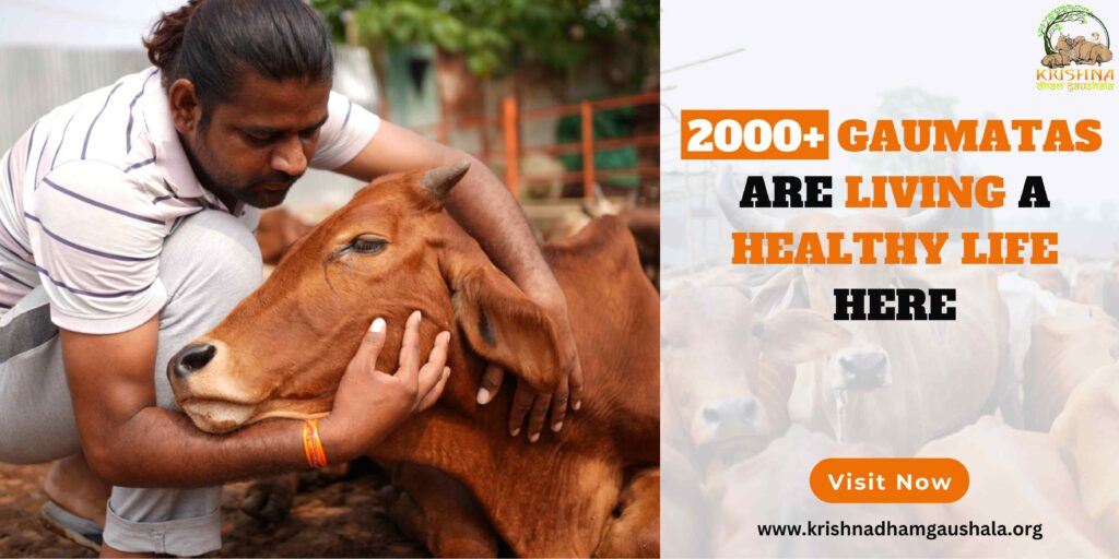 Donate To Gaumata