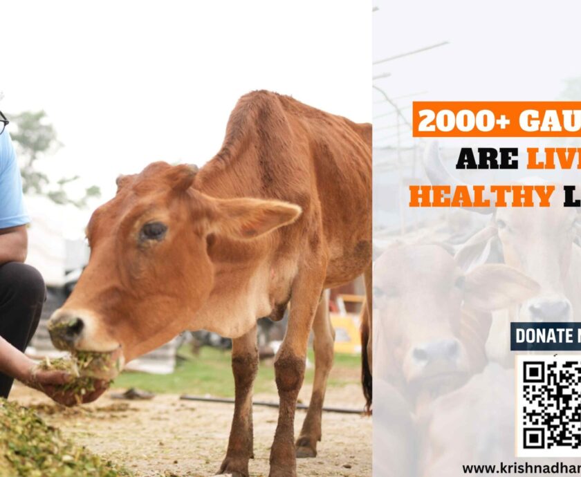 Donate To Gaumata