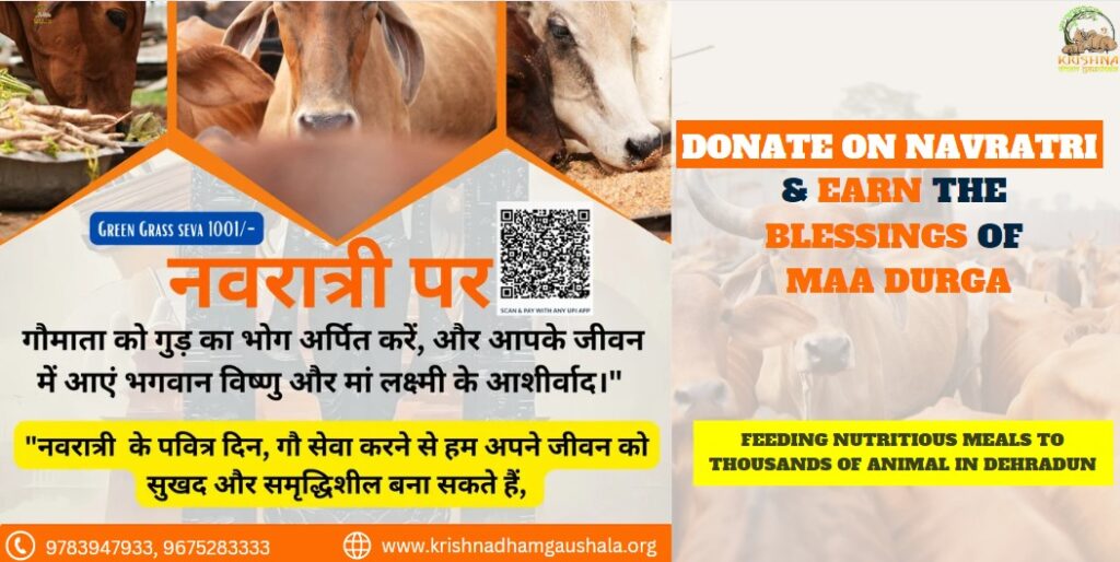 Donate on Navratri - Krishna Dham