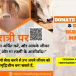 Donate on Navratri & Earn The Blessings Of Maa Durga