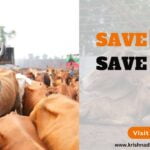 Save Cows Save India