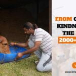 FROM CRUELTY TO KINDNESS - SAVE THE LIVES OF 2000+ ANIMALS