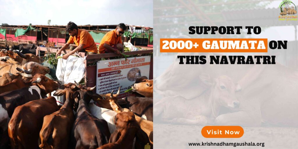 Support to 2000 Gaumata