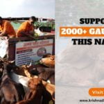 Support to 2000+ Gaumata On This Navratri