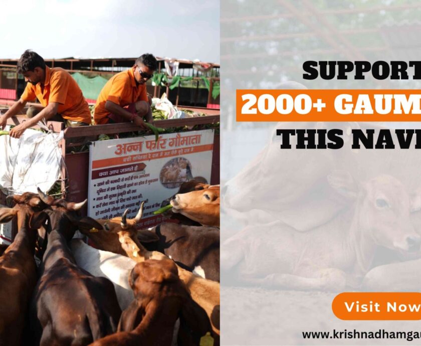 Support to 2000 Gaumata