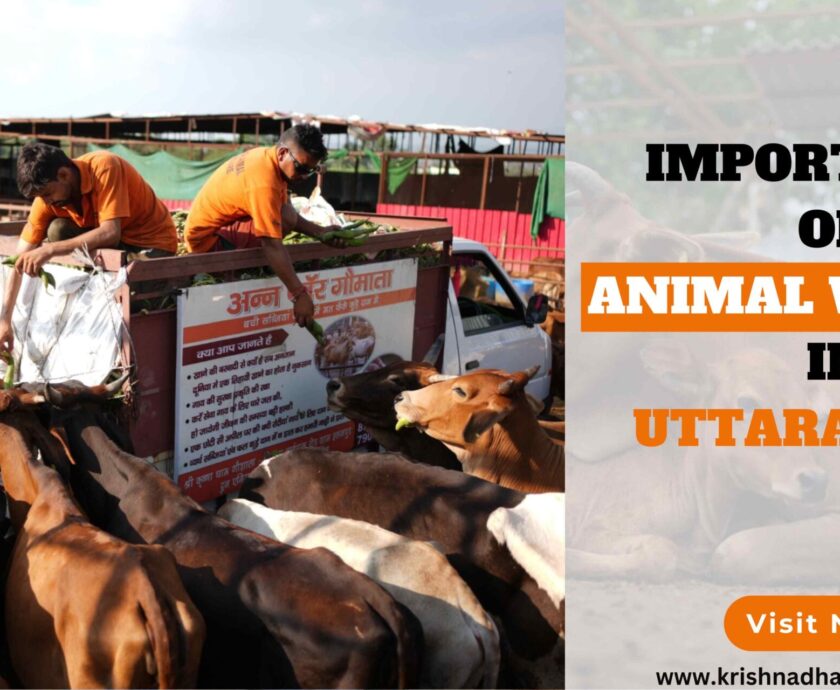 importance of animal welfare-a