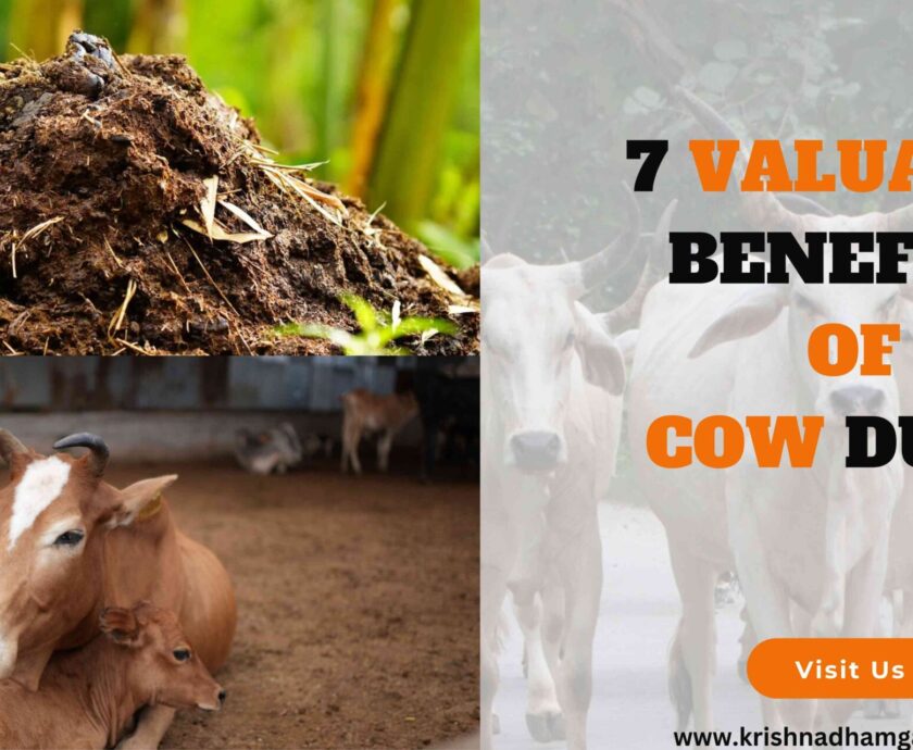 7 Valuable benefits of cow dung-a