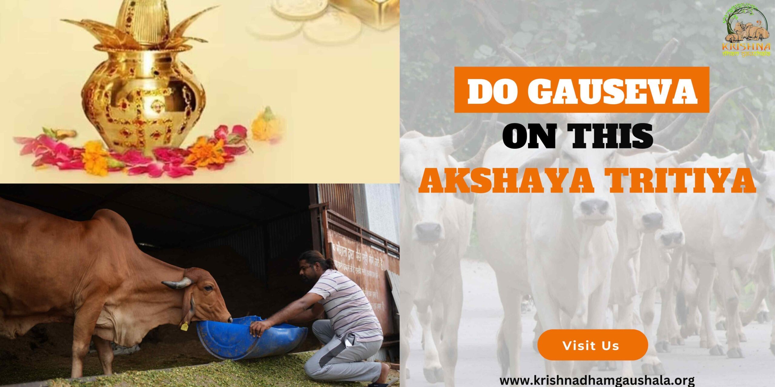 Do Gauseva On Akshaya Tritiya-krishna dham