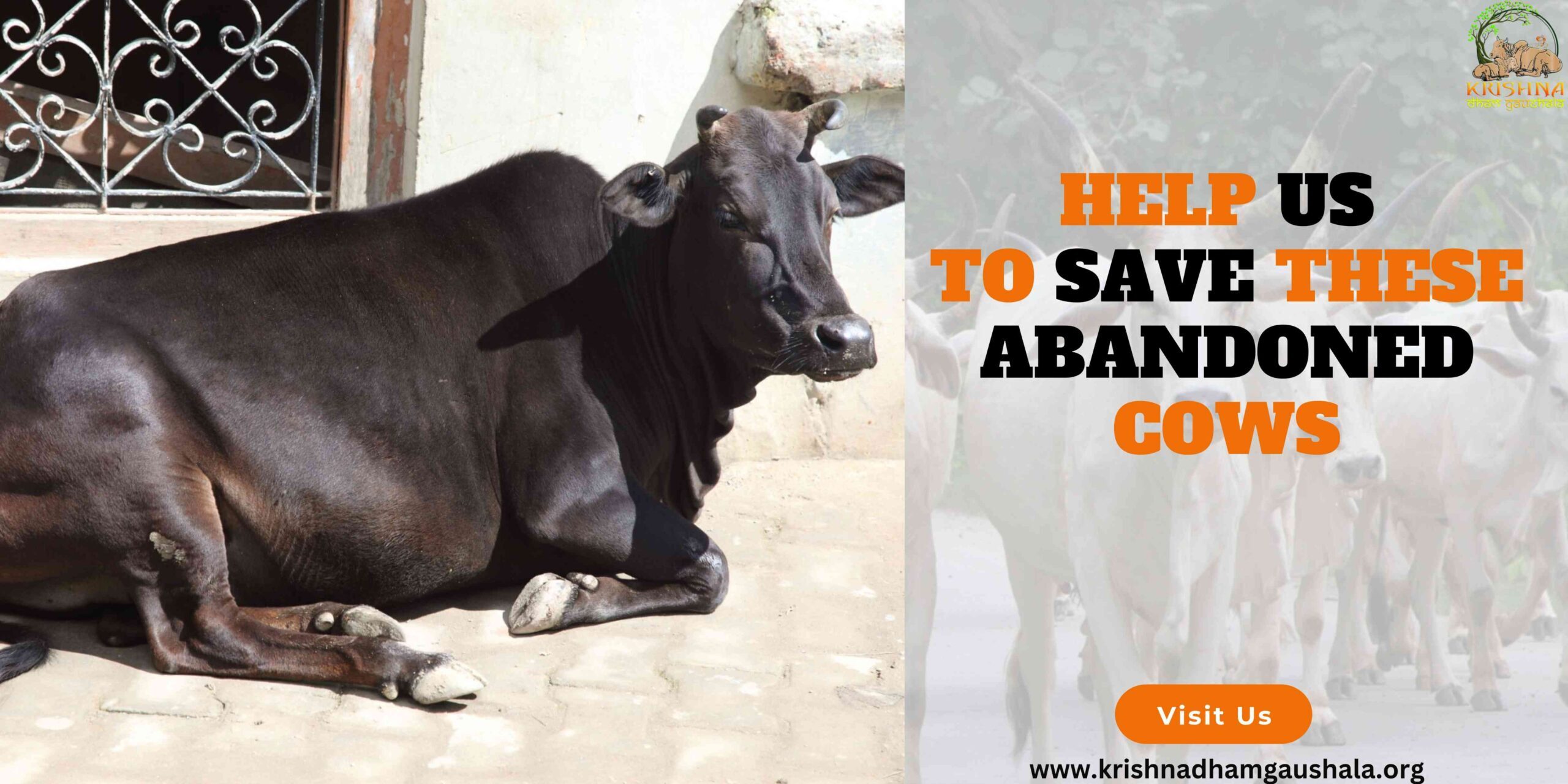 Save Abandoned Cows