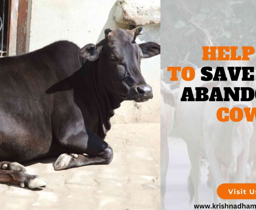 Save Abandoned Cows