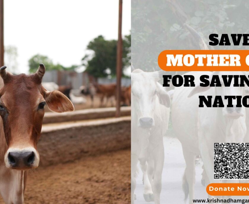 Save Mother Cows