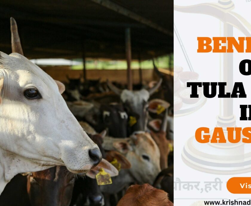 benefits of Tula Daan in Gaushala