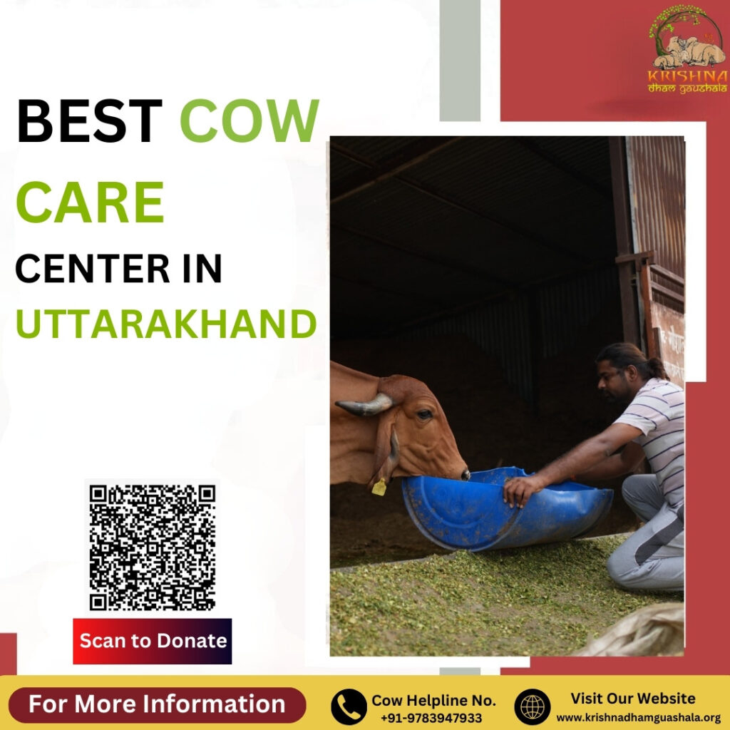 Cow Care Center in Uttarakhand