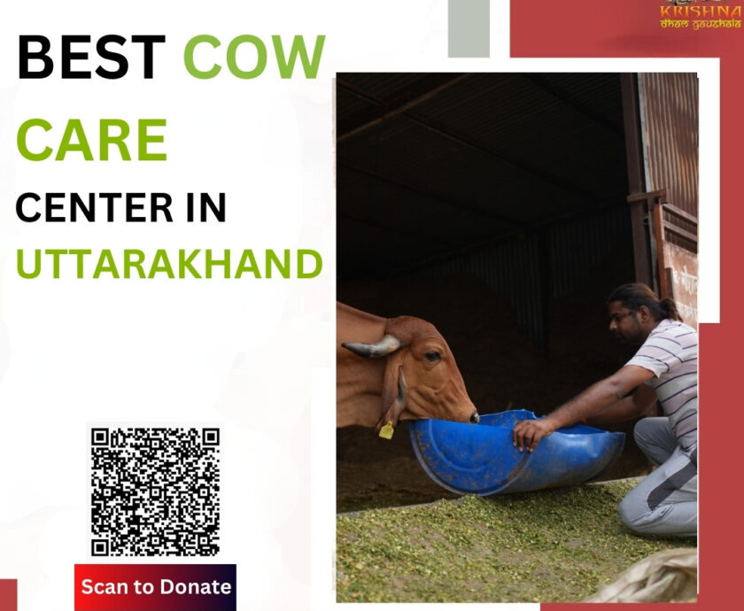 Cow Care Center in Uttarakhand