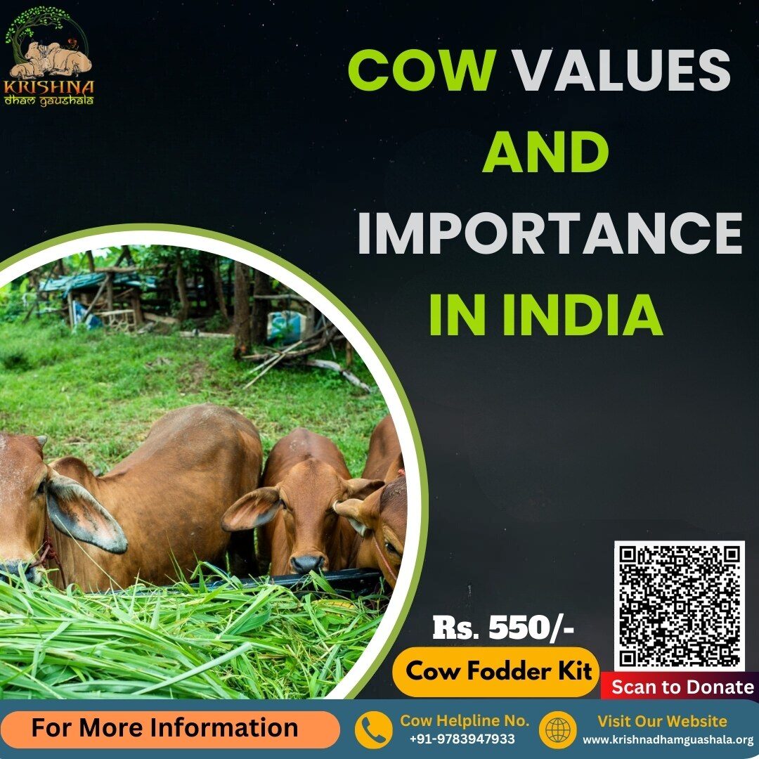 Cow values and importance in India