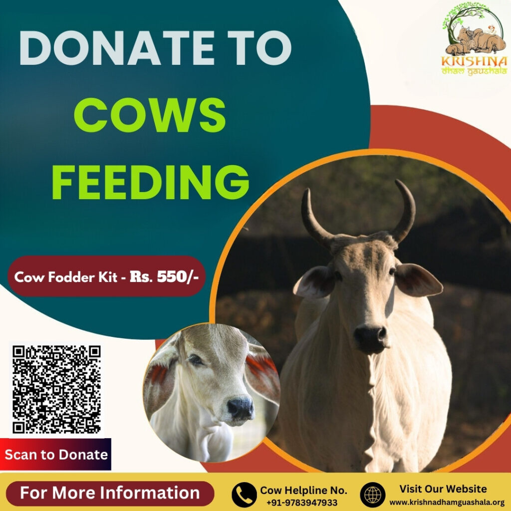 Donate to Cows Feeding