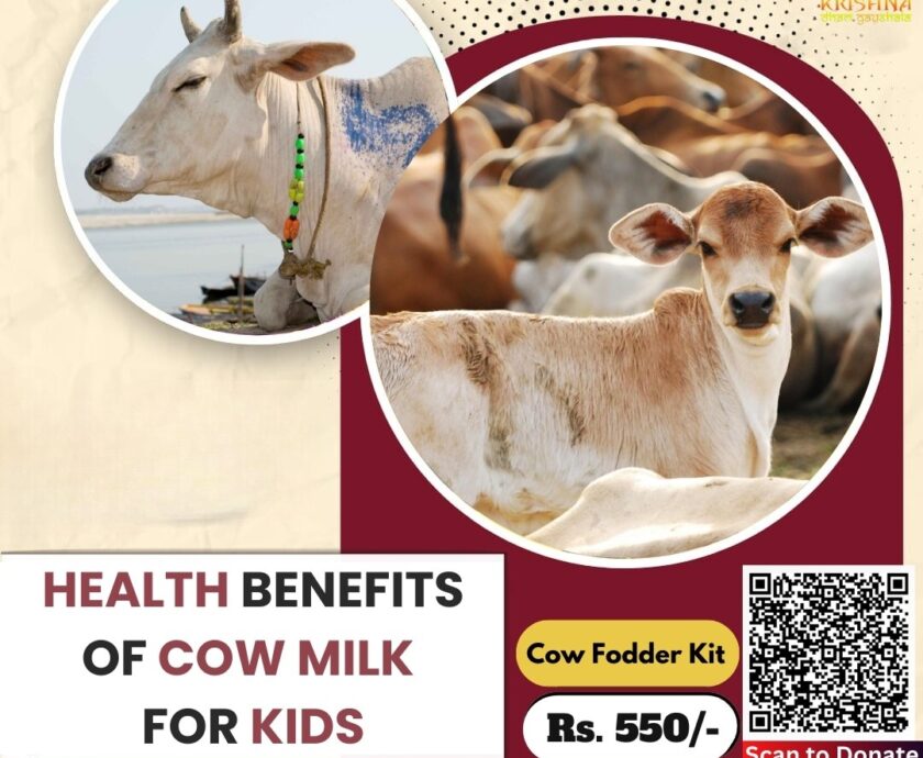 Health Benefits of Cow Milk for Kids-A