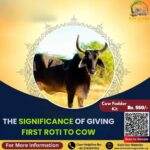 THE SIGNIFICANCE OF GIVING FIRST ROTI TO COW