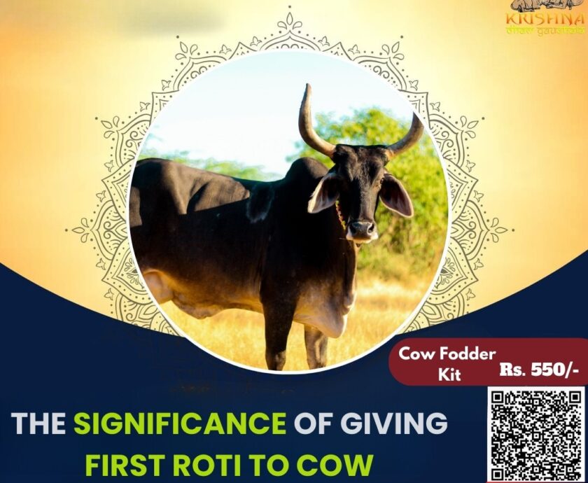 Significance of Giving First Roti To Cow