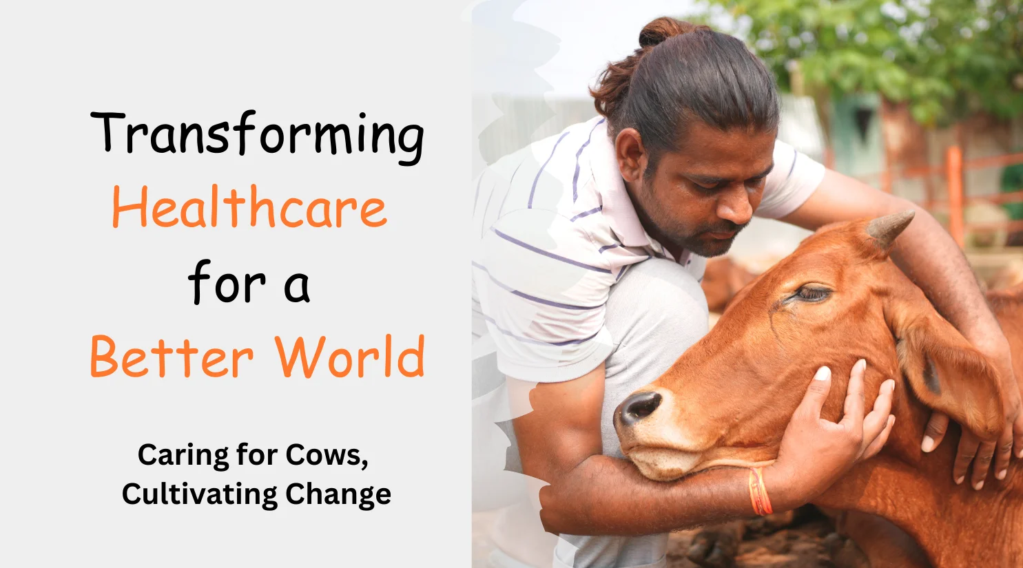 Donate to the Medical Care of Cows at Krishna Dham Gaushala – A sanctuary for injured, rescued, and elderly cows in Dehradun.