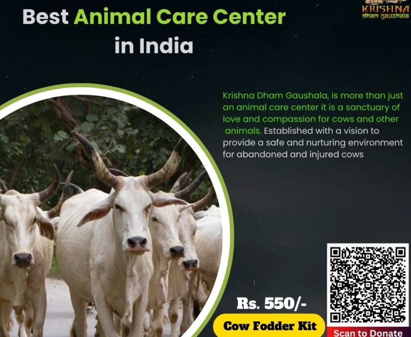 Best Animal Care Center in India