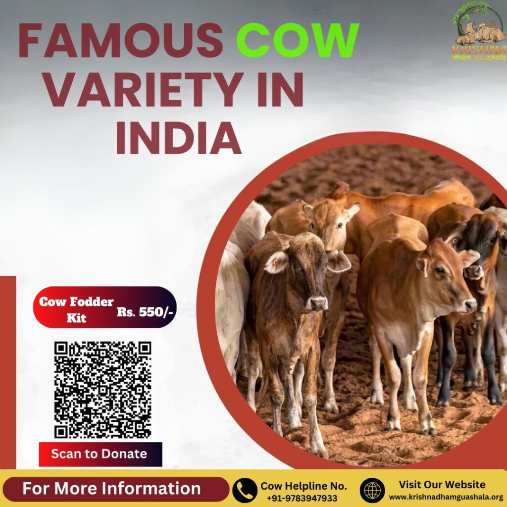 Cow Variety in India