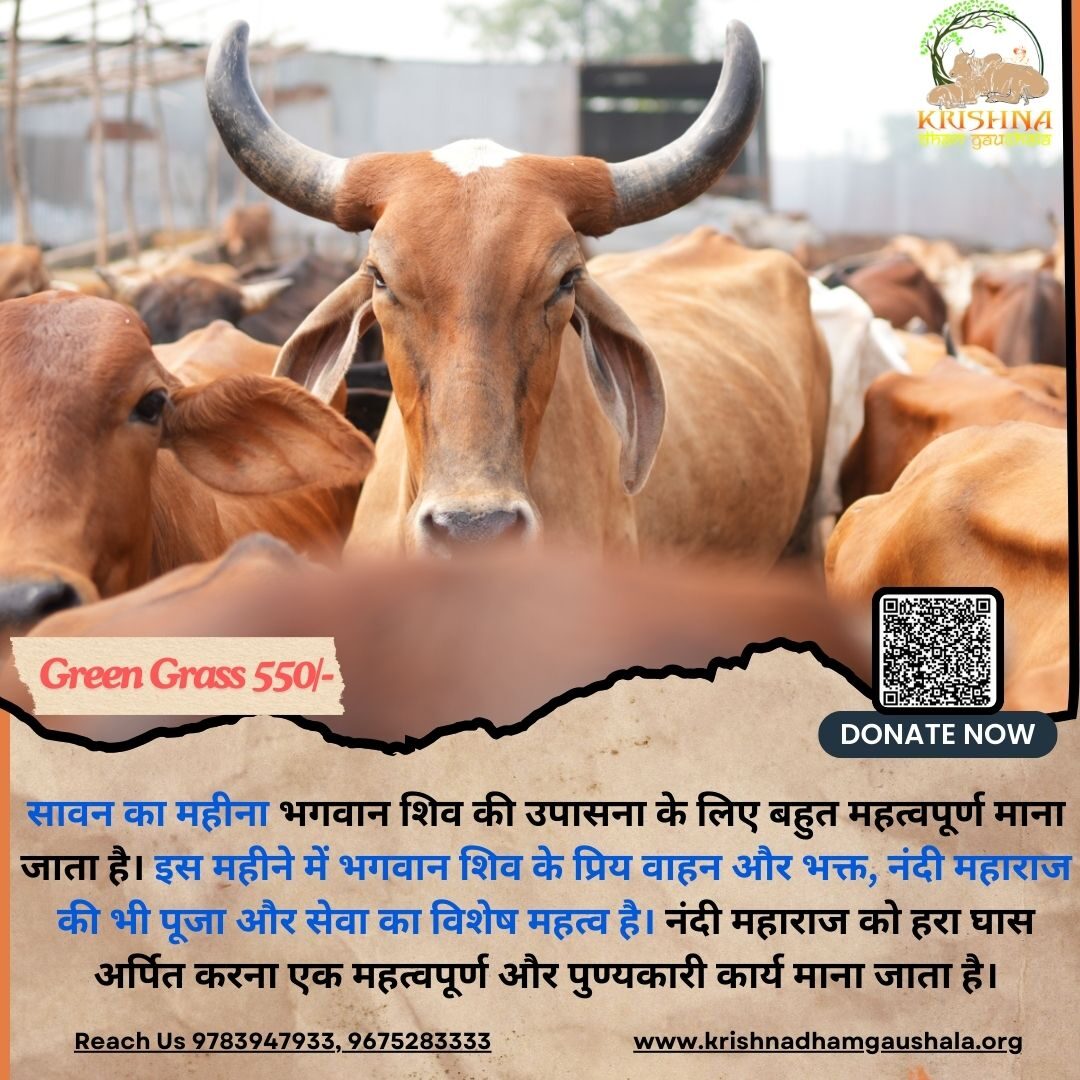 Donate For Cows in Sawan-A