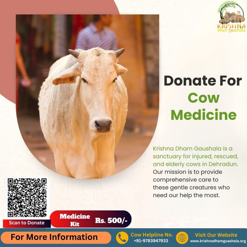 Donate for Cow Medicine