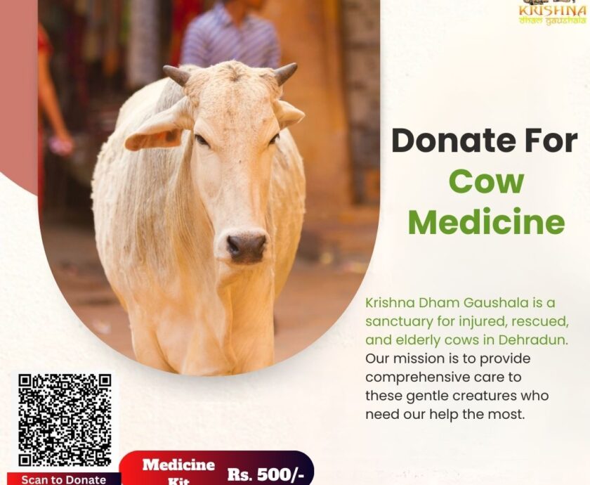 Donate for Cow Medicine