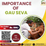 The Importance of Gau Seva: Connecting with Lord Govinda