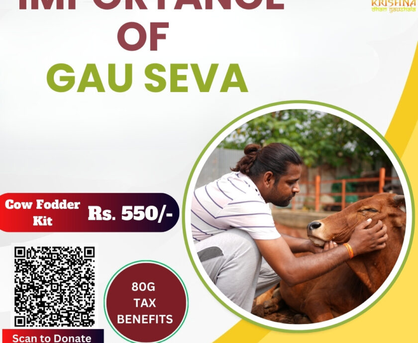 Gau Seva Importance