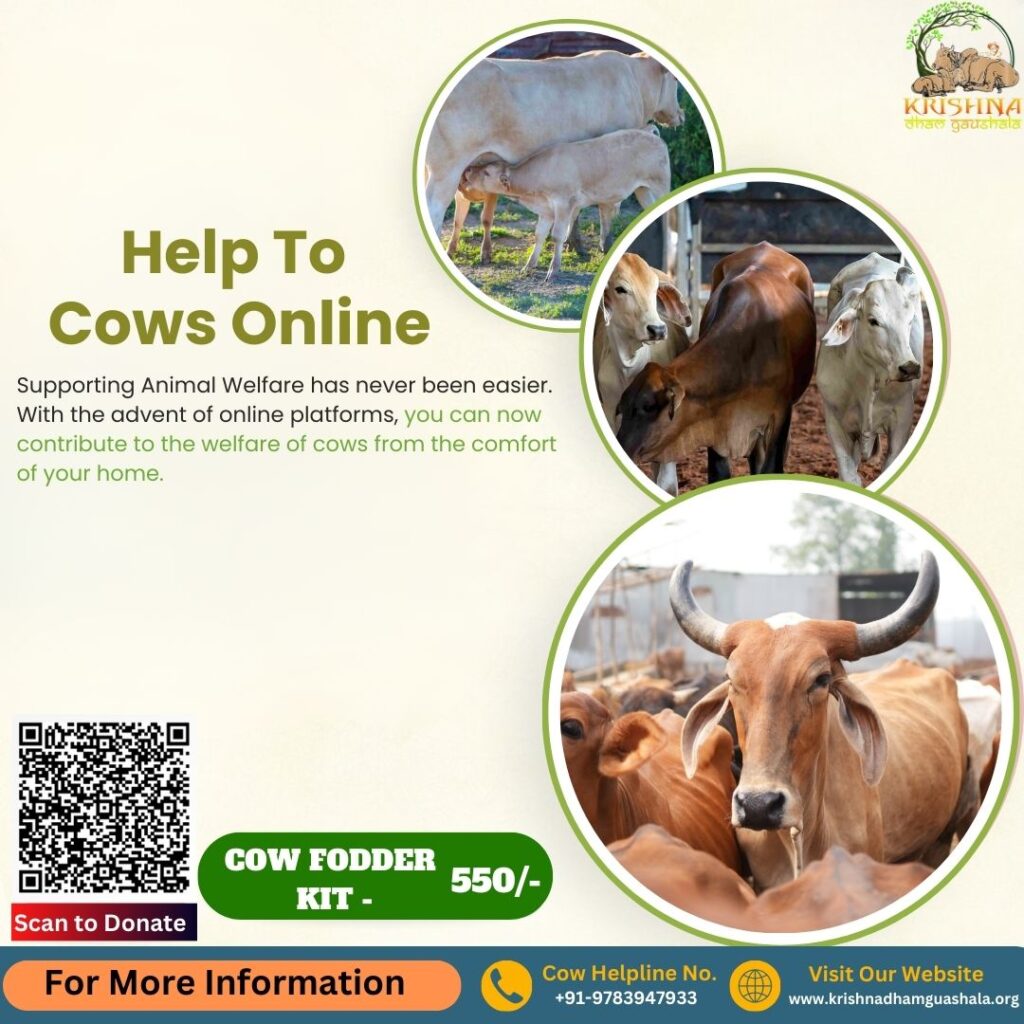 Help to Cows Online