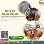 Help To Cows Online - Donate to Gaushala