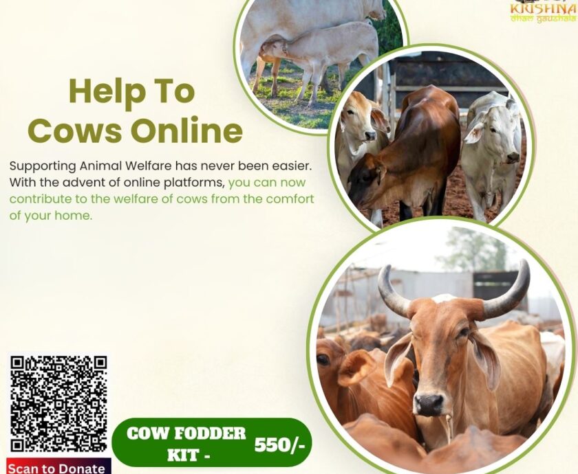 Help to Cows Online