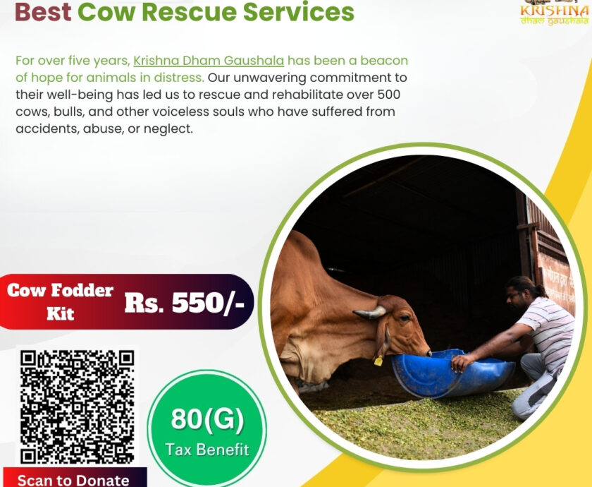 best cow rescue services