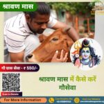 श्रावण मास में कैसे करें गौसेवा - जानिए महत्व, Shravan 2024