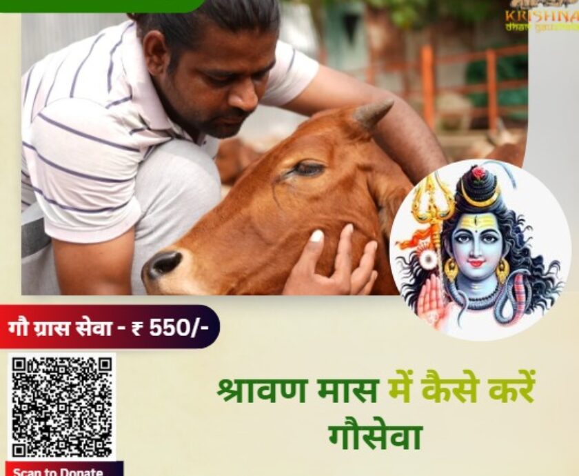 श्रावण मास में कैसे करें गौसेवा