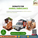 Donate For Animal Ambulance - Save Voiceless Lives