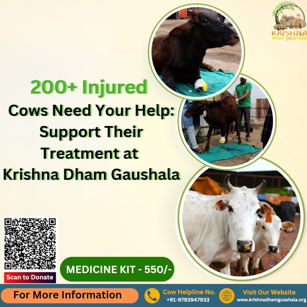 Donate For Cow Treatment