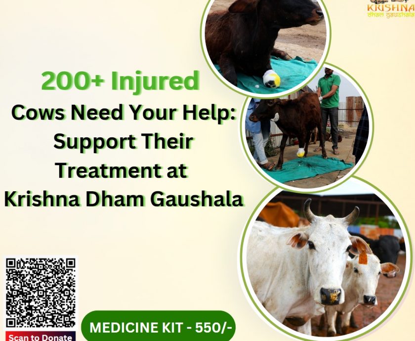 Donate For Cow Treatment