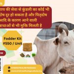 Donate for Cow Feeding - Gau Seva Govind Seva