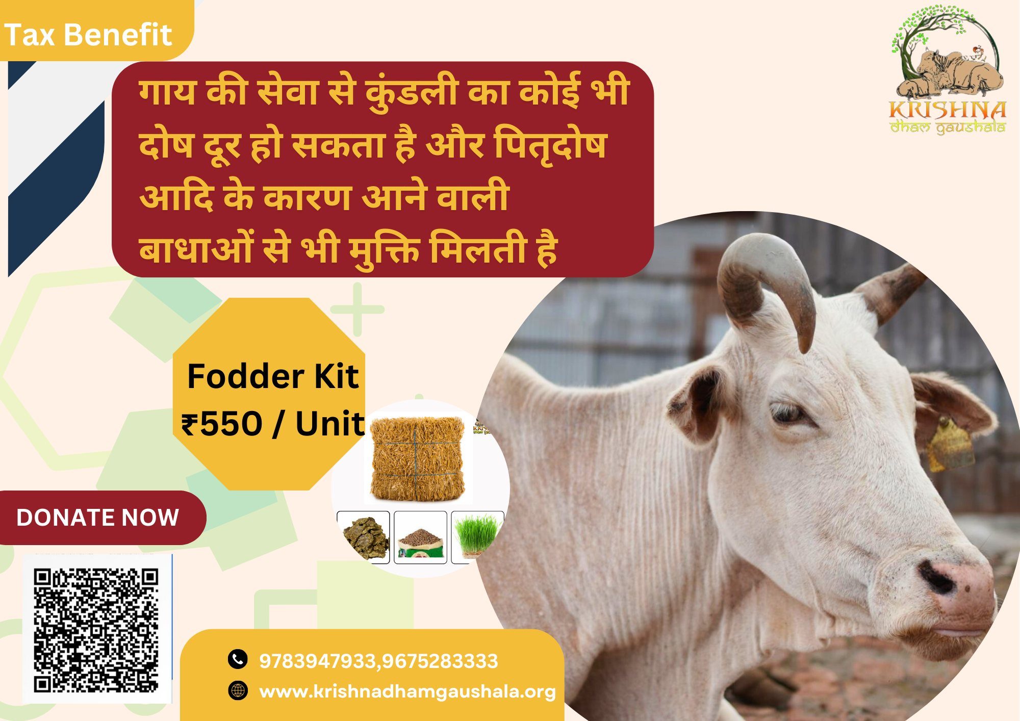 Donate for Cow Feeding