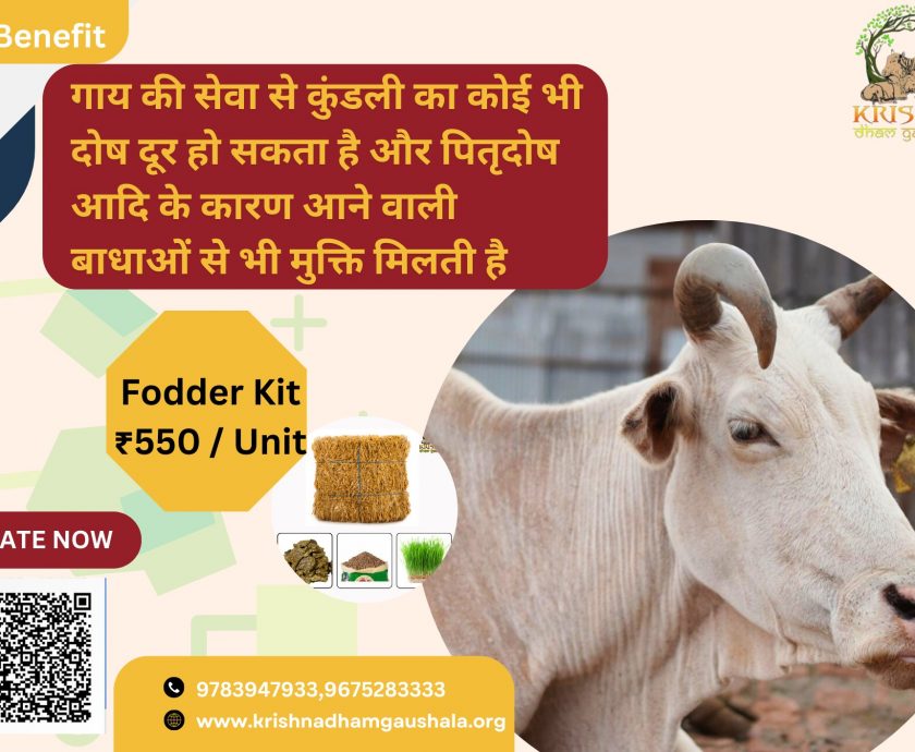 Donate for Cow Feeding