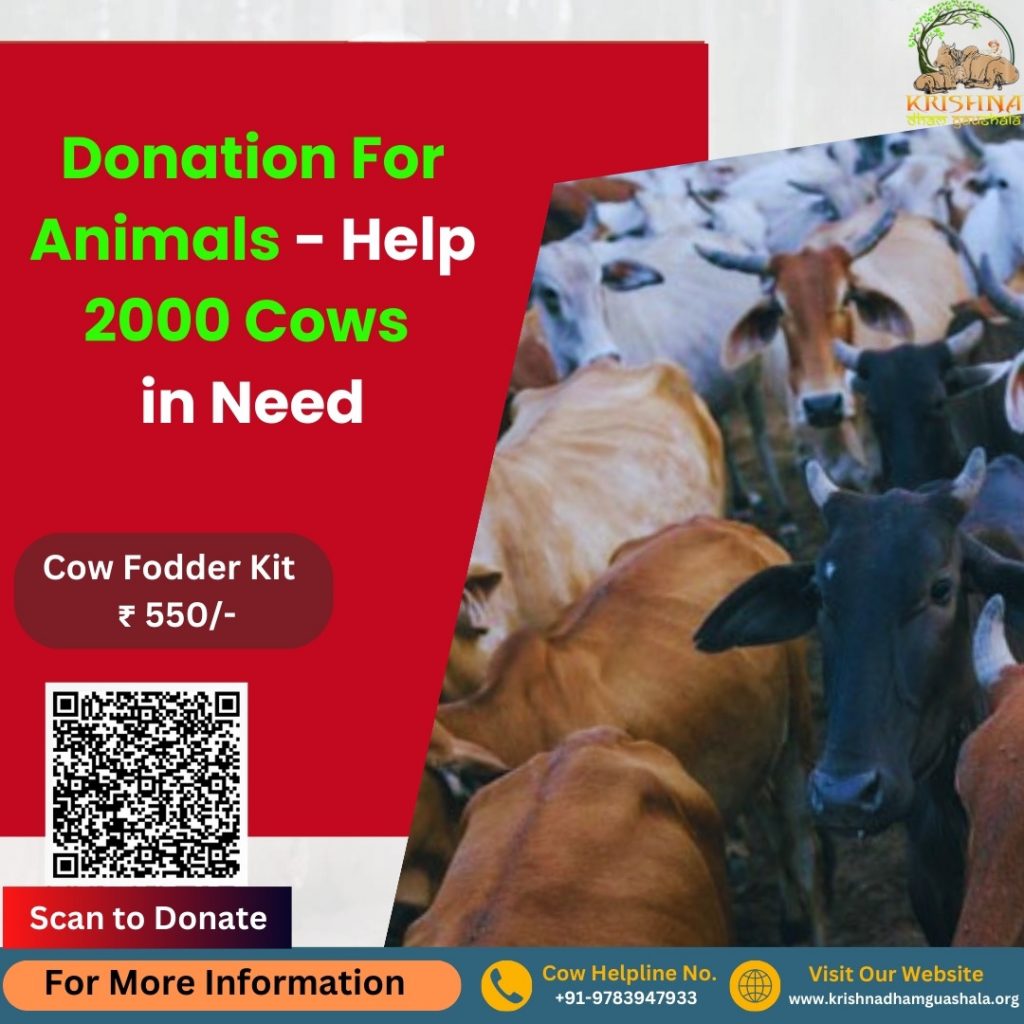 Donation For Animals