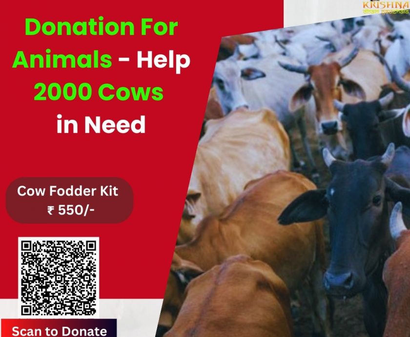 Donation For Animals